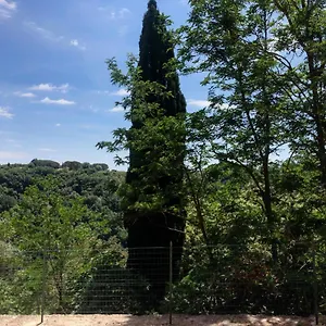 La Casa All'oliveto Apartment Pitigliano
